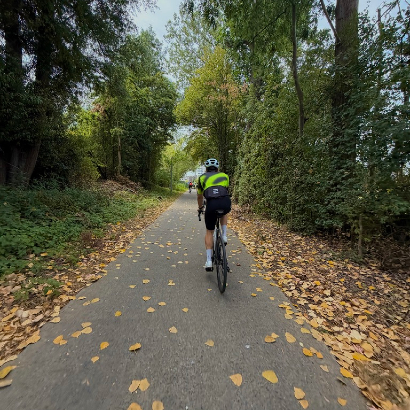 404° cyclist riding through a wooded road